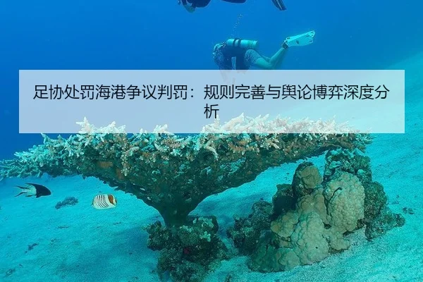 足协处罚海港争议判罚：规则完善与舆论博弈深度分析